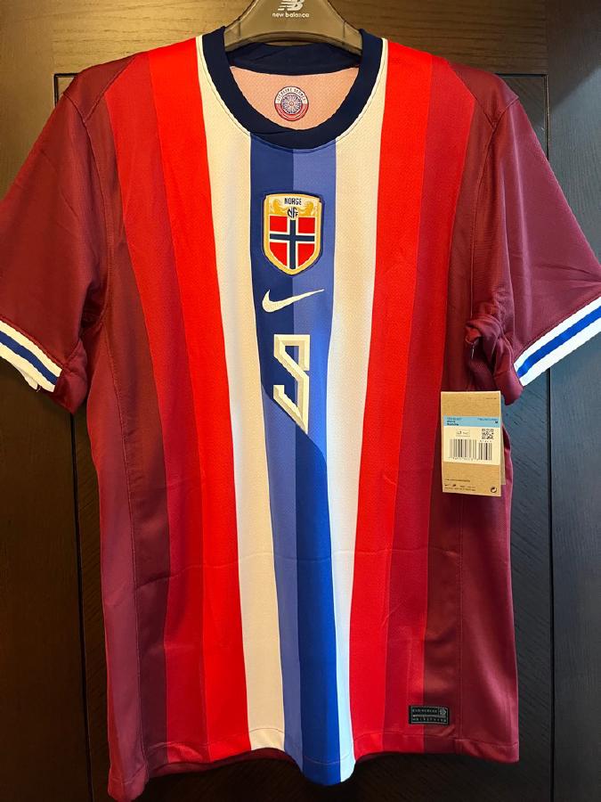 哈兰德挪威国家队：北欧足球的希望之星